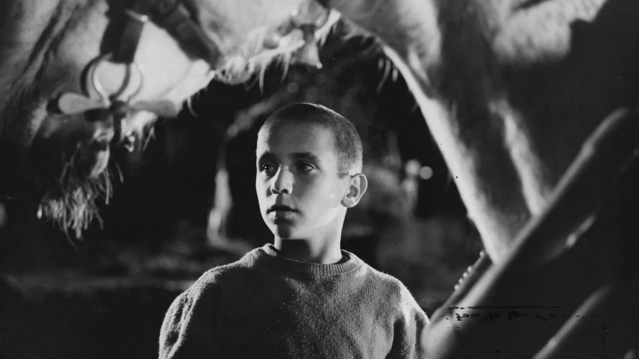 Scene from Chronicle of a Boy Alone (1965)