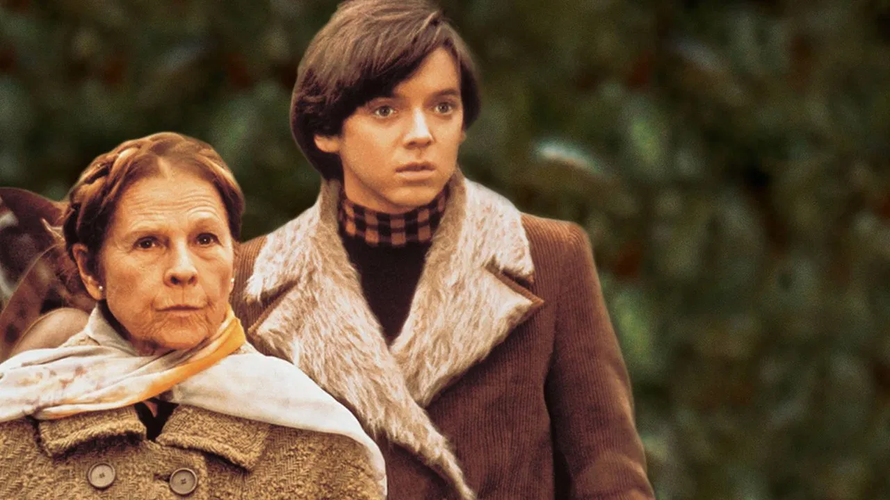 Scene from Harold and Maude (1971)