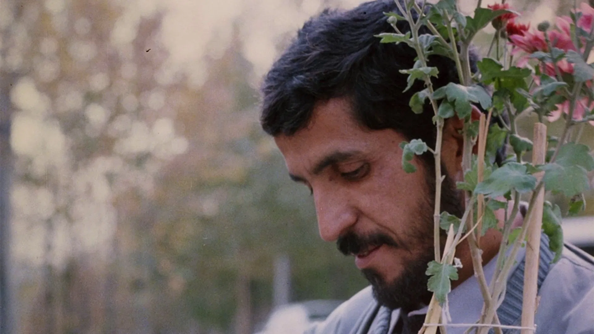 Scene from Close Up (1990), used as the banner image for cinema of 1990