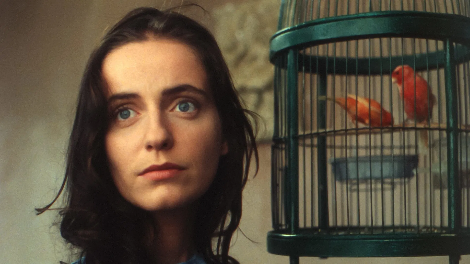 Scene from Val Abraham (1993)