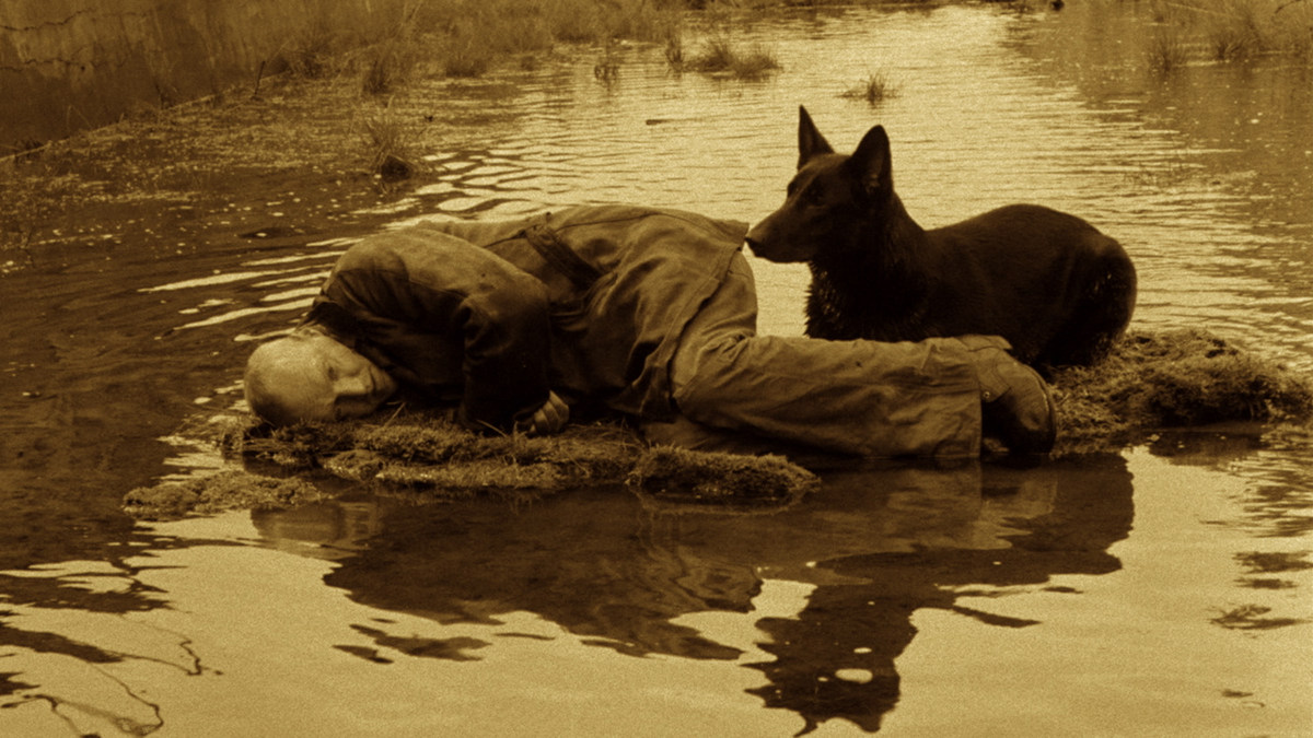 Scene from Stalker (1979)