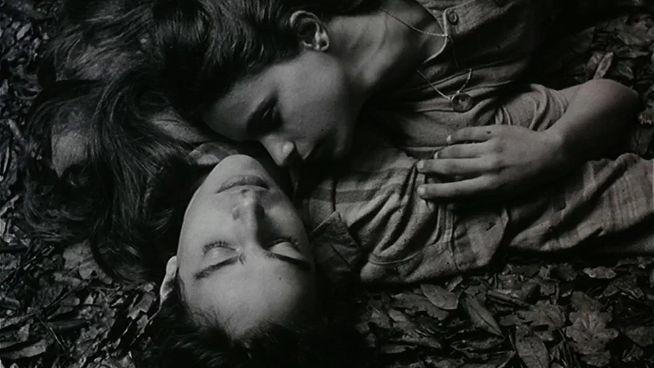 Scene from Frágil como o mundo (2001)
