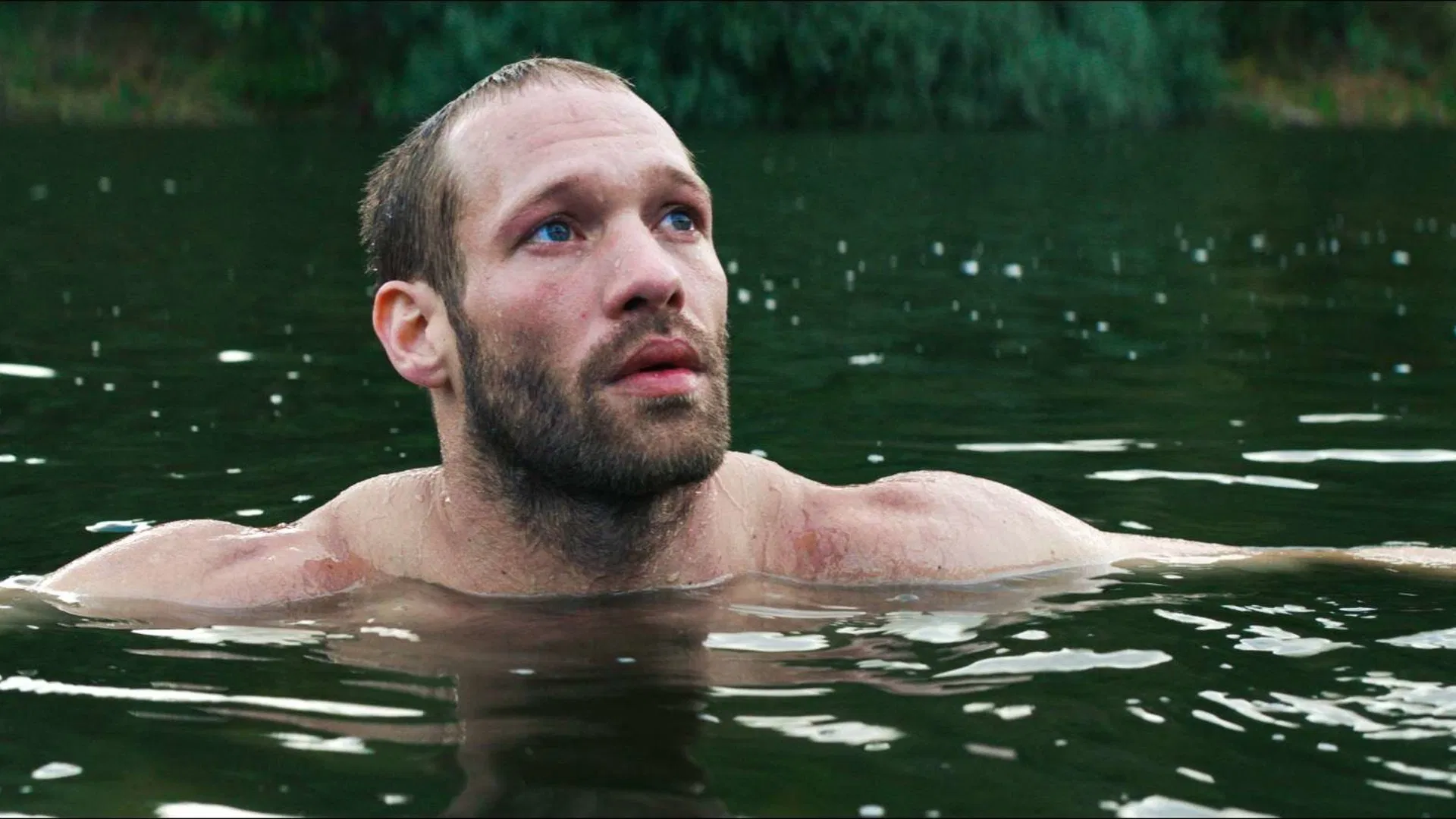 Scene from The Ornithologist (2016)