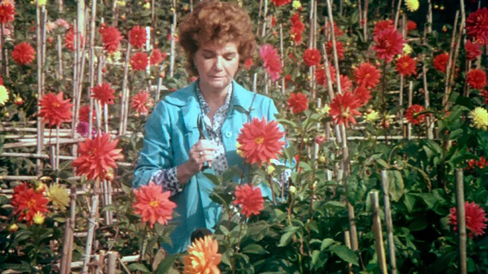 Scene from Visit, or Memories and Confessions (1993)