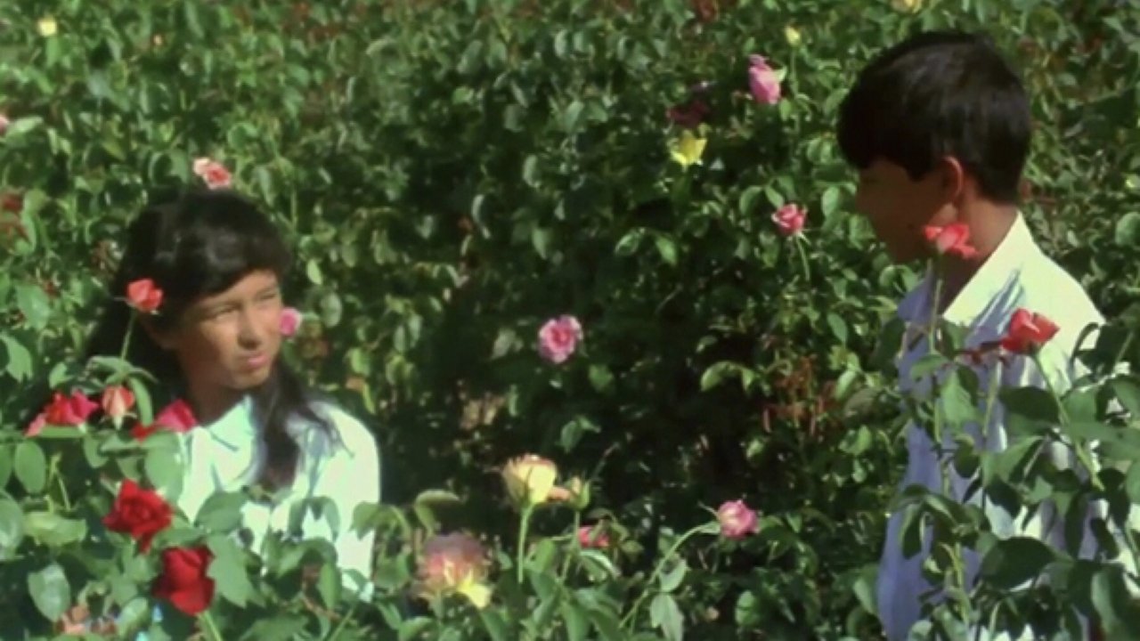 Scene from Butterfly and Flowers (1985)