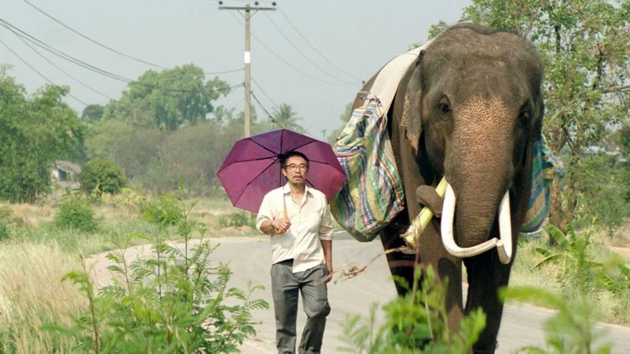 Scene from Pop Aye (2017)