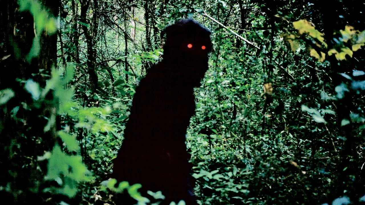 Scene from Uncle Boonmee (2010), used as the banner image for the Thai cinema collection